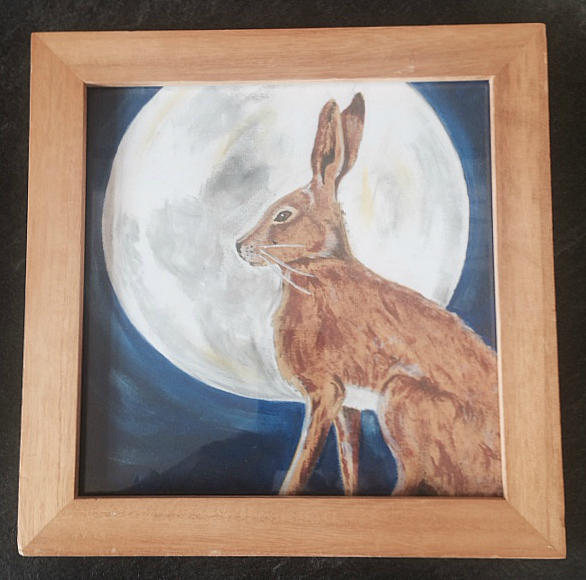 hare for sale